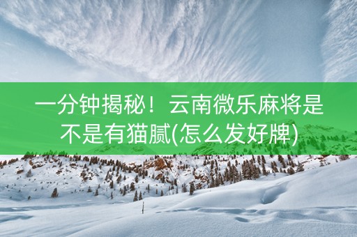 一分钟揭秘！云南微乐麻将是不是有猫腻(怎么发好牌)