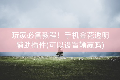 玩家必备教程！手机金花透明辅助插件(可以设置输赢吗)