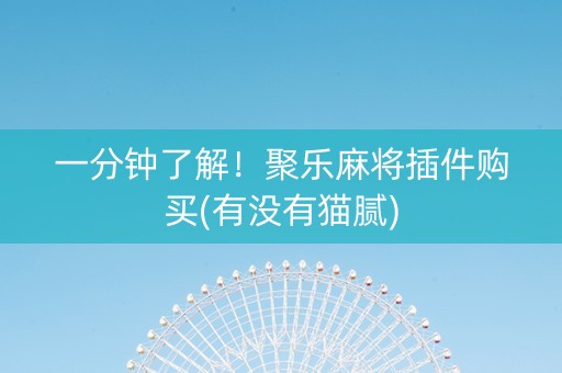 一分钟了解！聚乐麻将插件购买(有没有猫腻)