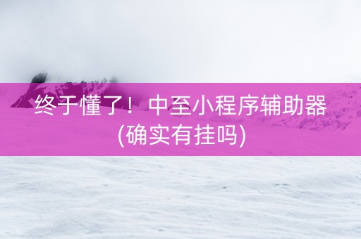 终于懂了！中至小程序辅助器(确实有挂吗)