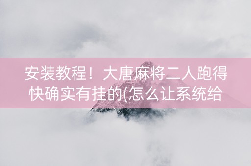 安装教程！大唐麻将二人跑得快确实有挂的(怎么让系统给你发好牌)