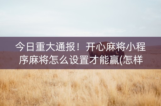 今日重大通报！开心麻将小程序麻将怎么设置才能赢(怎样赢的几率大)