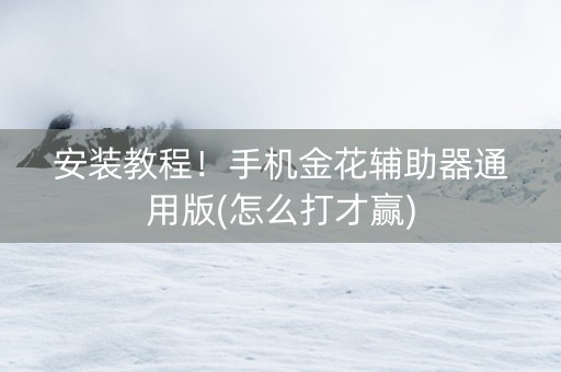 安装教程！手机金花辅助器通用版(怎么打才赢)