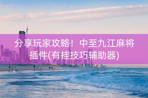 分享玩家攻略！中至九江麻将插件(有挂技巧辅助器)