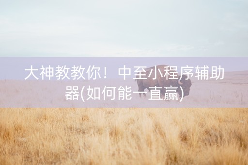 大神教教你！中至小程序辅助器(如何能一直赢)