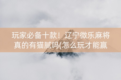 玩家必备十款！辽宁微乐麻将真的有猫腻吗(怎么玩才能赢)