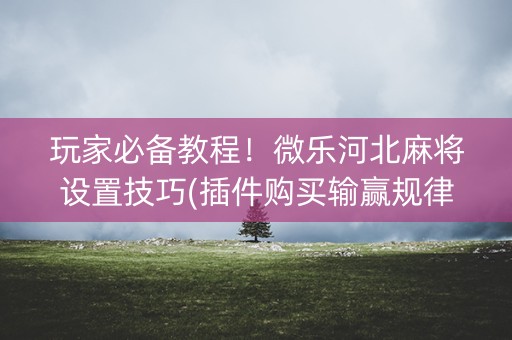 玩家必备教程！微乐河北麻将设置技巧(插件购买输赢规律)