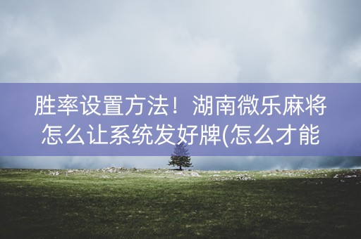 胜率设置方法！湖南微乐麻将怎么让系统发好牌(怎么才能起到好牌)