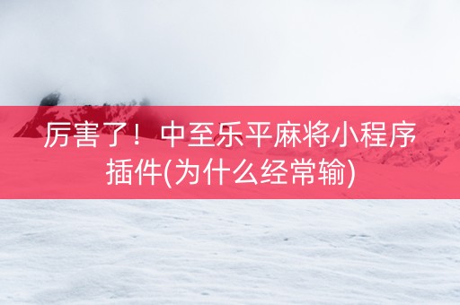 厉害了！中至乐平麻将小程序插件(为什么经常输)