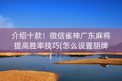 介绍十款！微信雀神广东麻将提高胜率技巧(怎么设置胡牌)