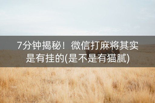 7分钟揭秘！微信打麻将其实是有挂的(是不是有猫腻)
