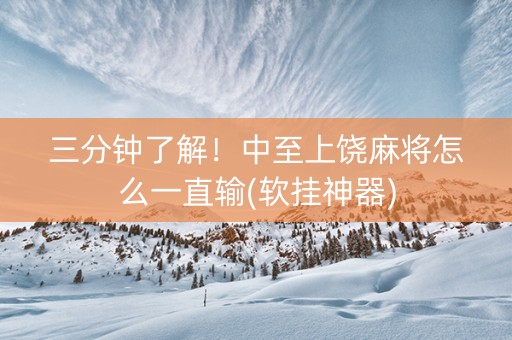 三分钟了解！中至上饶麻将怎么一直输(软挂神器)