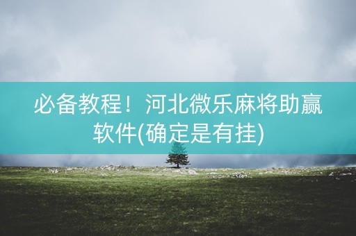 必备教程！河北微乐麻将助赢软件(确定是有挂)