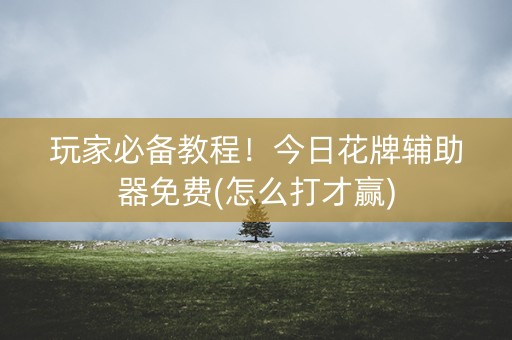 玩家必备教程！今日花牌辅助器免费(怎么打才赢)
