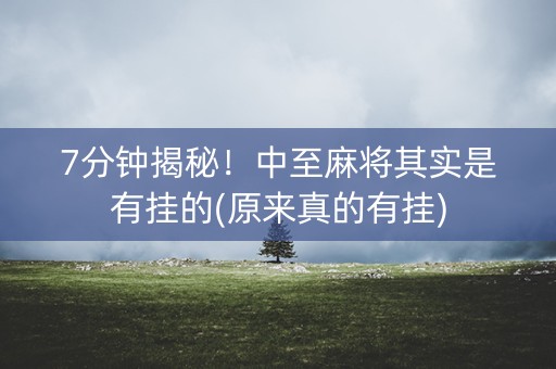 7分钟揭秘！中至麻将其实是有挂的(原来真的有挂)
