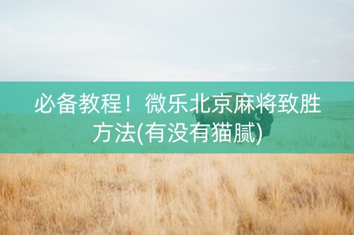 必备教程！微乐北京麻将致胜方法(有没有猫腻)