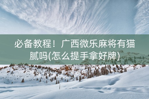 必备教程！广西微乐麻将有猫腻吗(怎么提手拿好牌)