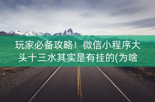 玩家必备攻略！微信小程序大头十三水其实是有挂的(为啥我总是输)