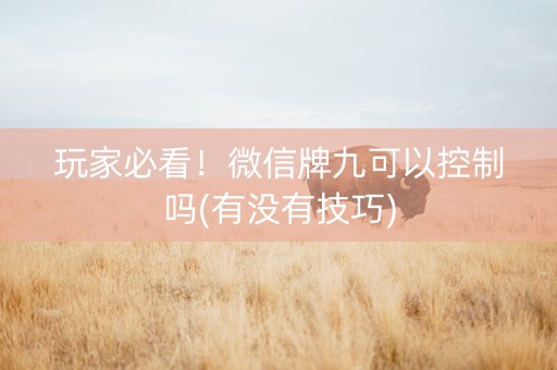 玩家必看！微信牌九可以控制吗(有没有技巧)