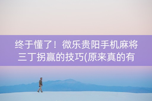 终于懂了！微乐贵阳手机麻将三丁拐赢的技巧(原来真的有挂)