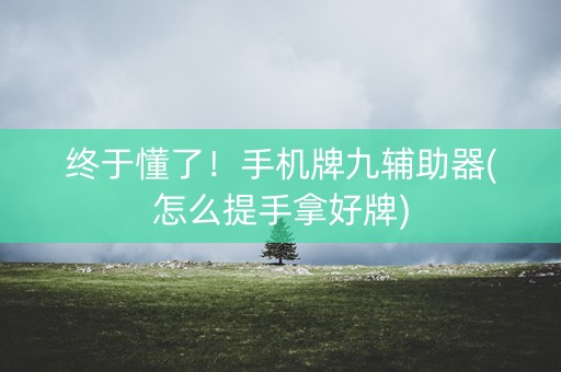 终于懂了！手机牌九辅助器(怎么提手拿好牌)