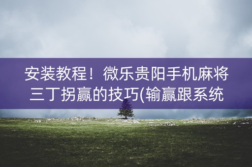 安装教程！微乐贵阳手机麻将三丁拐赢的技巧(输赢跟系统有关系吗)