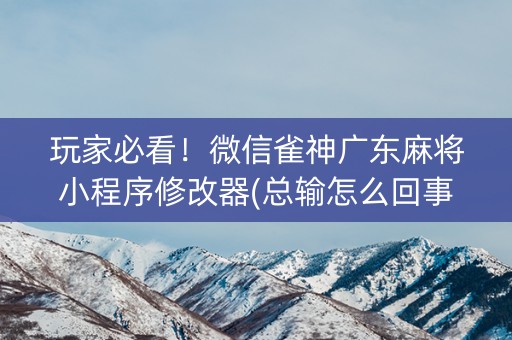 玩家必看！微信雀神广东麻将小程序修改器(总输怎么回事)