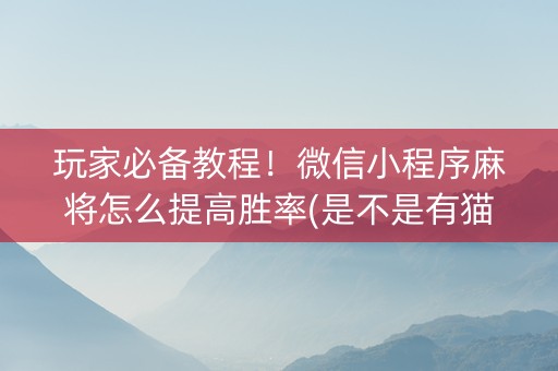 玩家必备教程！微信小程序麻将怎么提高胜率(是不是有猫腻)
