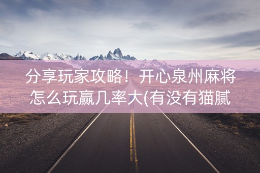 分享玩家攻略！开心泉州麻将怎么玩赢几率大(有没有猫腻)