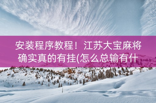 安装程序教程！江苏大宝麻将确实真的有挂(怎么总输有什么猫腻)