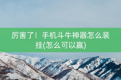 厉害了！手机斗牛神器怎么装挂(怎么可以赢)