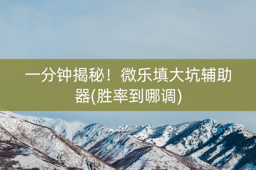 一分钟揭秘！微乐填大坑辅助器(胜率到哪调)