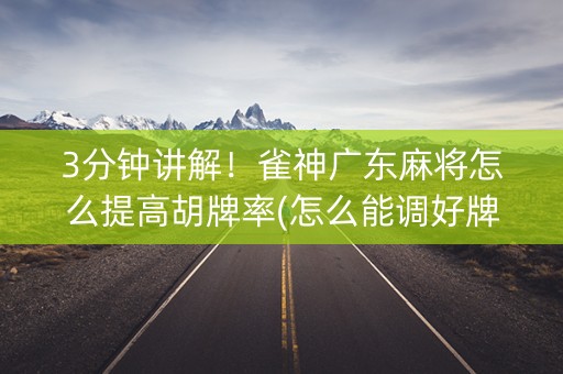 3分钟讲解！雀神广东麻将怎么提高胡牌率(怎么能调好牌)