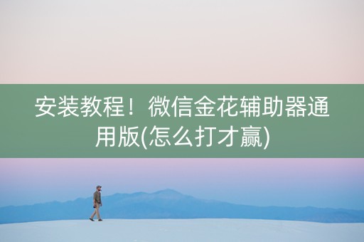 安装教程！微信金花辅助器通用版(怎么打才赢)