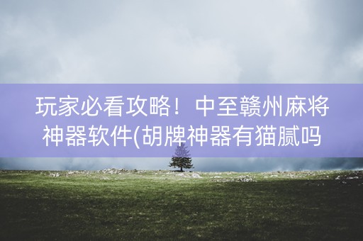 玩家必看攻略！中至赣州麻将神器软件(胡牌神器有猫腻吗)