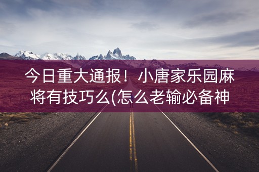 今日重大通报！小唐家乐园麻将有技巧么(怎么老输必备神器)