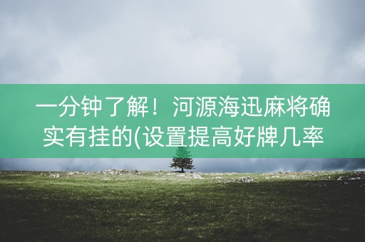 一分钟了解！河源海迅麻将确实有挂的(设置提高好牌几率)