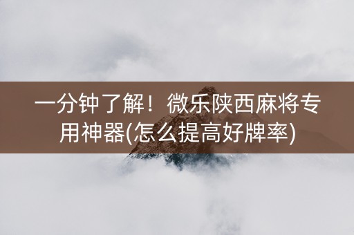 一分钟了解！微乐陕西麻将专用神器(怎么提高好牌率)