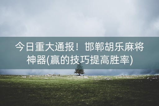 今日重大通报！邯郸胡乐麻将神器(赢的技巧提高胜率)