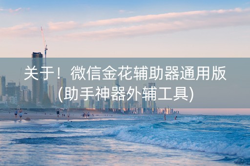 关于！微信金花辅助器通用版(助手神器外辅工具)
