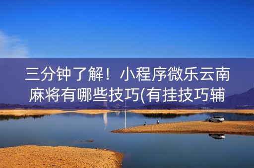 三分钟了解！小程序微乐云南麻将有哪些技巧(有挂技巧辅助器)