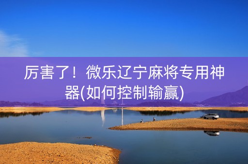 厉害了！微乐辽宁麻将专用神器(如何控制输赢)