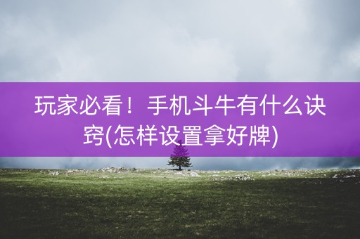 玩家必看！手机斗牛有什么诀窍(怎样设置拿好牌)