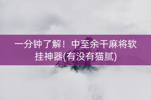 一分钟了解！中至余干麻将软挂神器(有没有猫腻)
