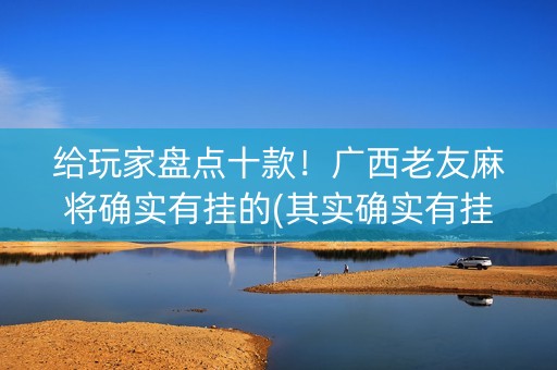 给玩家盘点十款！广西老友麻将确实有挂的(其实确实有挂)