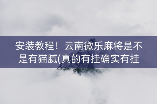 安装教程！云南微乐麻将是不是有猫腻(真的有挂确实有挂)