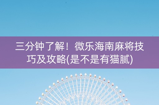 三分钟了解！微乐海南麻将技巧及攻略(是不是有猫腻)