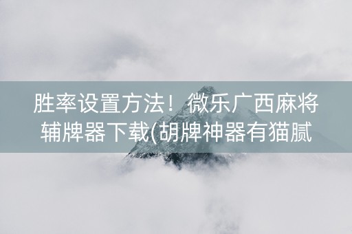 胜率设置方法！微乐广西麻将辅牌器下载(胡牌神器有猫腻吗)