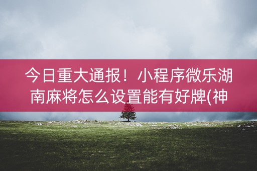 今日重大通报！小程序微乐湖南麻将怎么设置能有好牌(神器购买好牌规律)