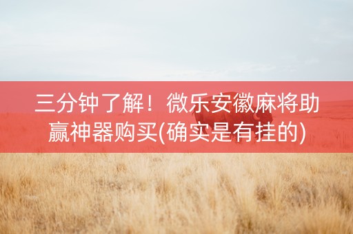 三分钟了解！微乐安徽麻将助赢神器购买(确实是有挂的)